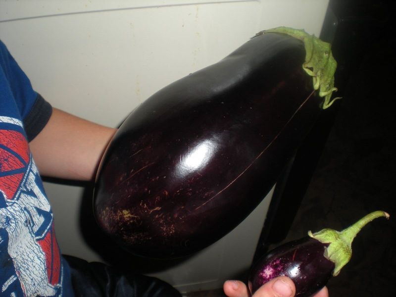 Monstrous Eggplant