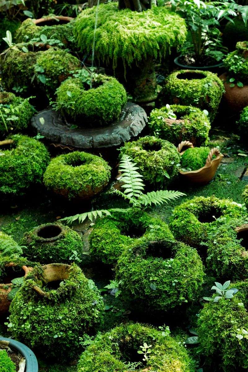 Moss-Covered Planters