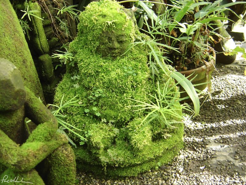 Moss Garden Statues