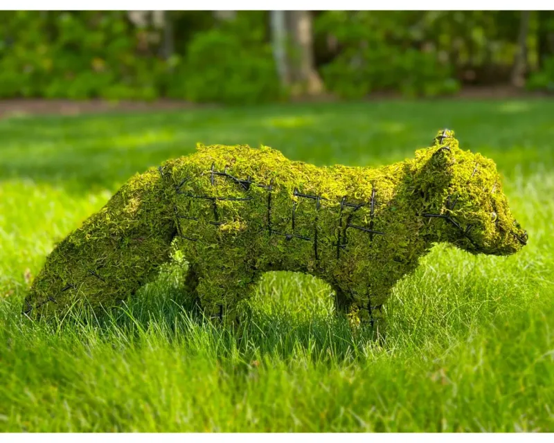 Moss Topiaries