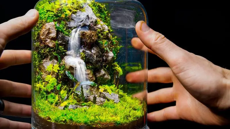 Moss Water Features