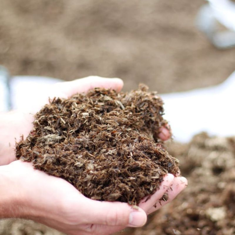 Mulch for Moisture Retention