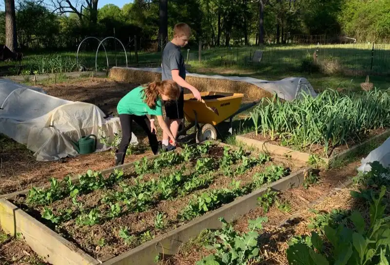 Mulching
