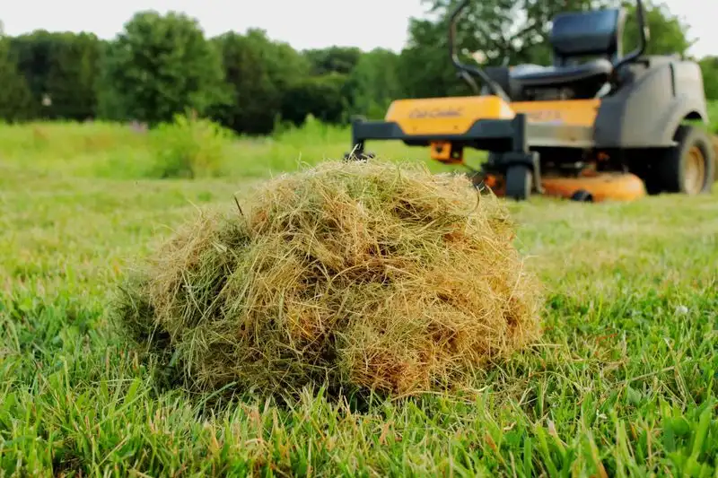 Mulching with Grass Clippings