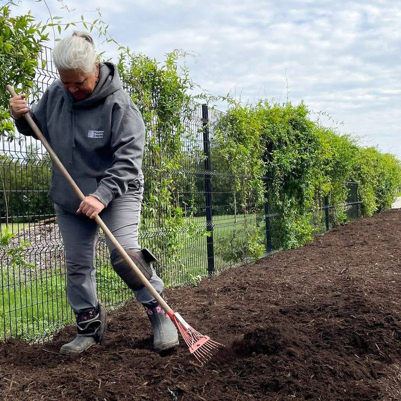 Mulching