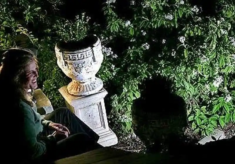 Mystical Moonlight Gardening