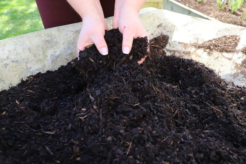 Myth 14: Mulch Is Just for Looks