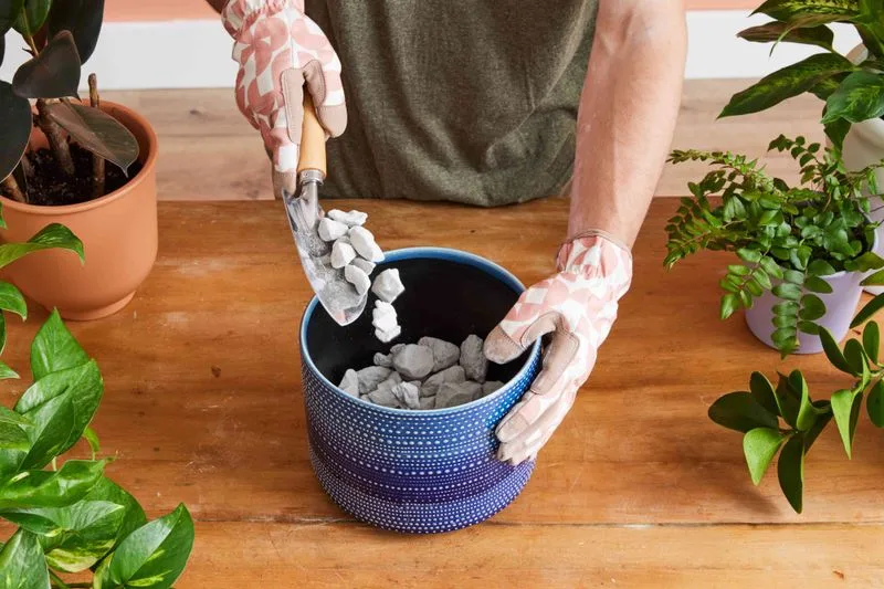 Myth 15: Rocks Improve Drainage in Pots