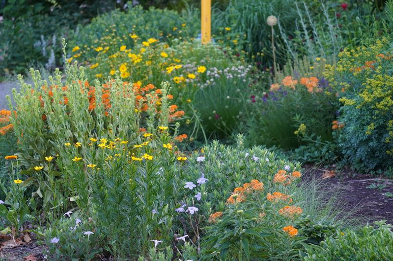 Myth 16: Native Plants Have Limited Use in Landscaping