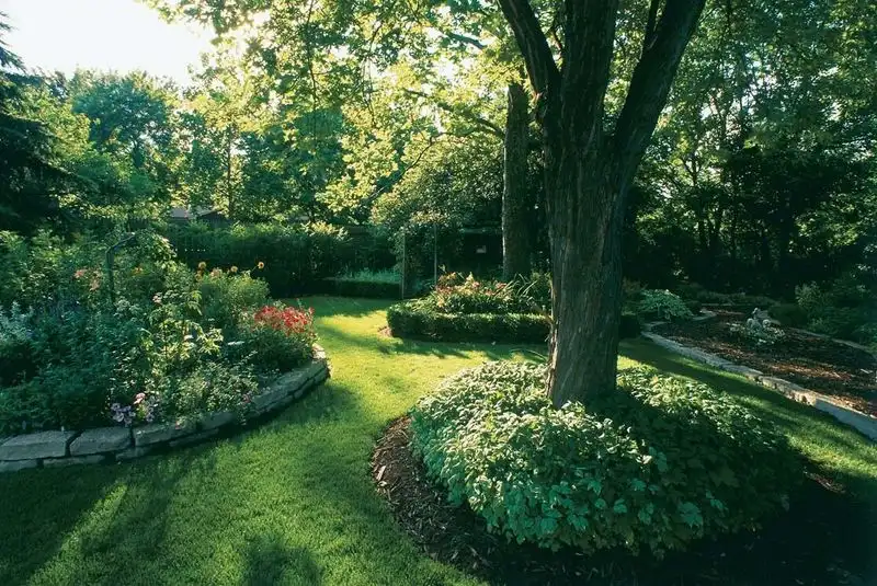 Myth 8: Plants Need Full Sun to Thrive