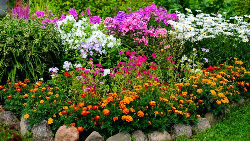 Native Plant Bed