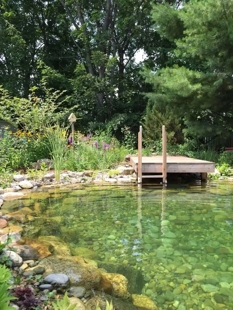 Natural Swimming Ponds