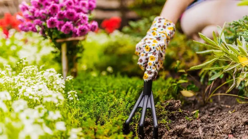 Neglecting Garden Tools Maintenance