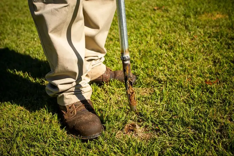 Neglecting Pest Control