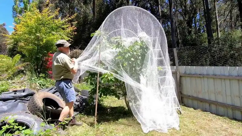 Netting Against Wildlife
