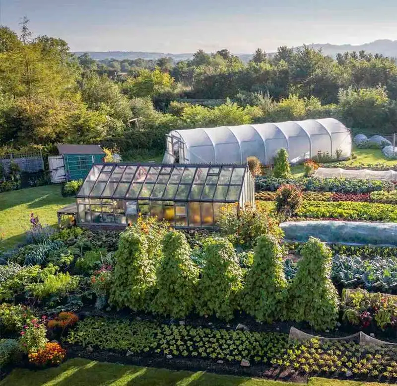 No-Dig Gardening