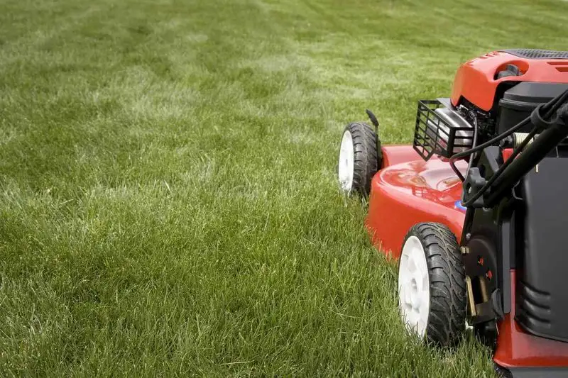 Not Adjusting Mowing Frequency