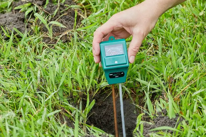 Not Testing Soil pH