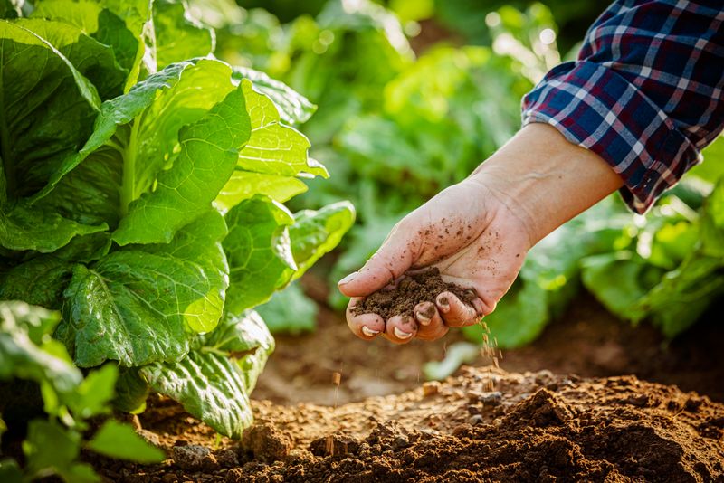 Nutrient Management