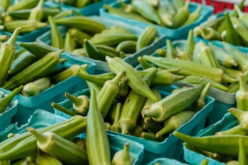 Okra