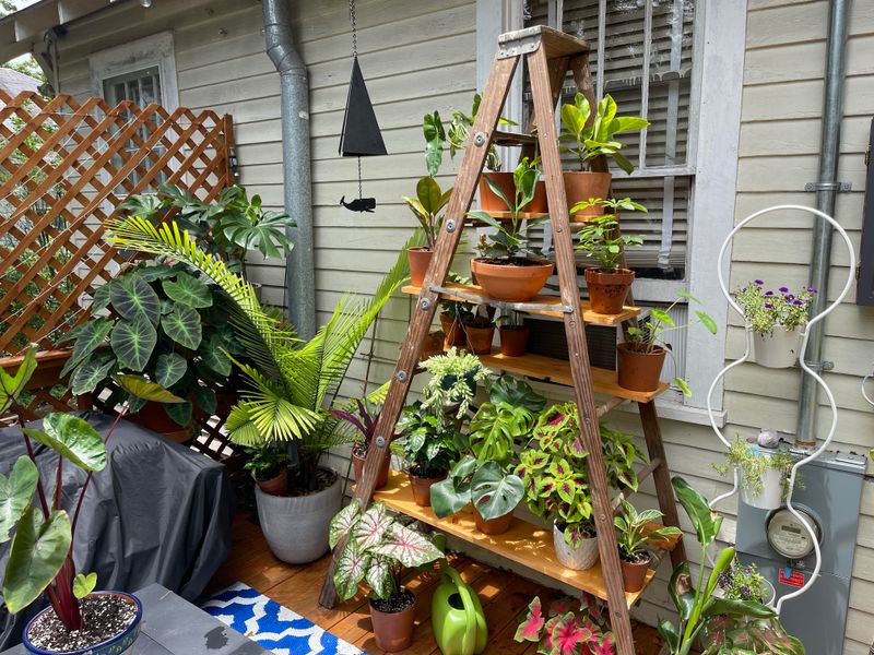 Old Ladder Plant Stand