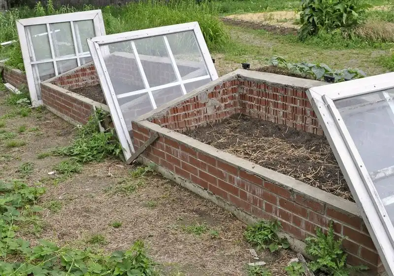 Old Window Cold Frame