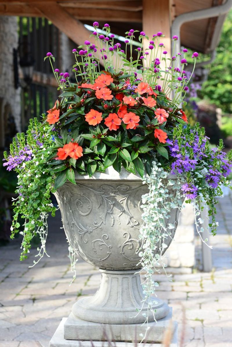 Ornate Plant Arrangements