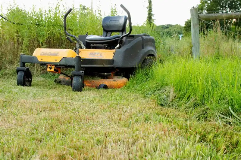 Overlooking Lawn Equipment Care