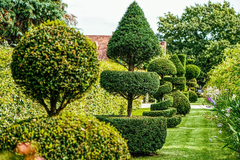 Overly Enthusiastic Topiary Shapes