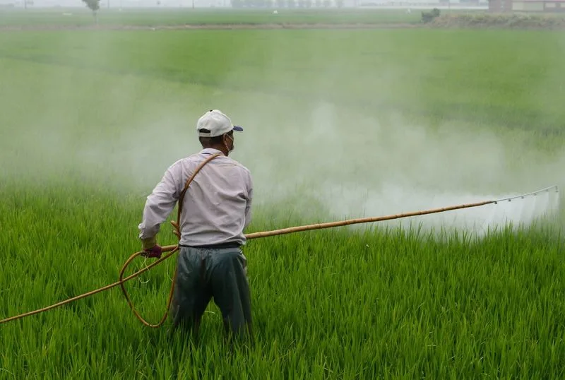 Overuse of Herbicides