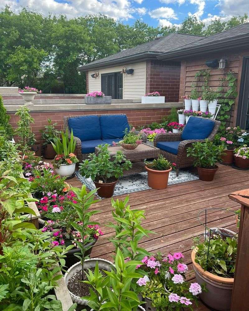 Patio and Deck Plantings