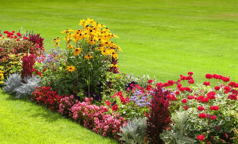 Perennial Flower Beds