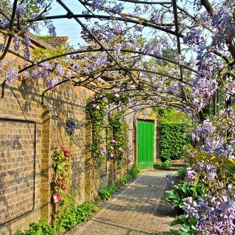 Pergolas and Arbors