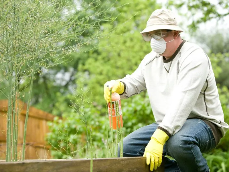 Pest Management with Natural Methods