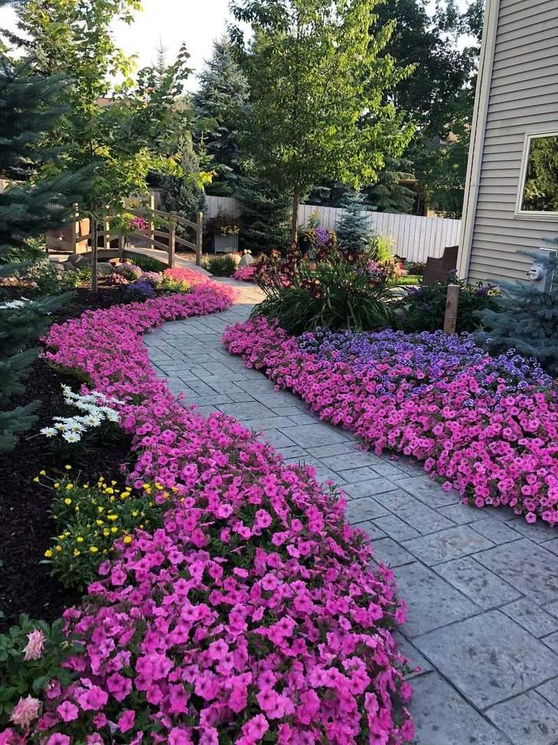 Petunia Archway