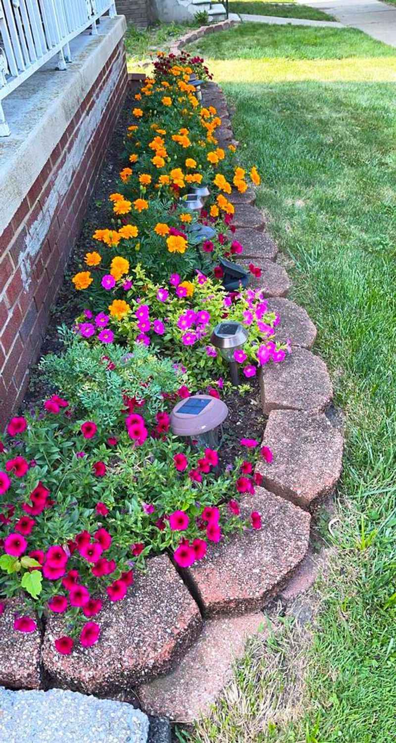 Petunia Garden Bed