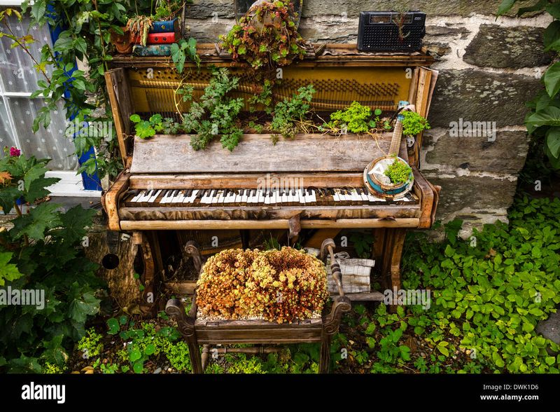 Piano Plant Display