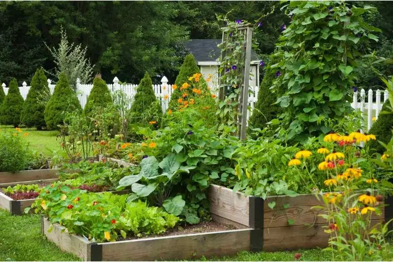 Plan Your Garden Layout