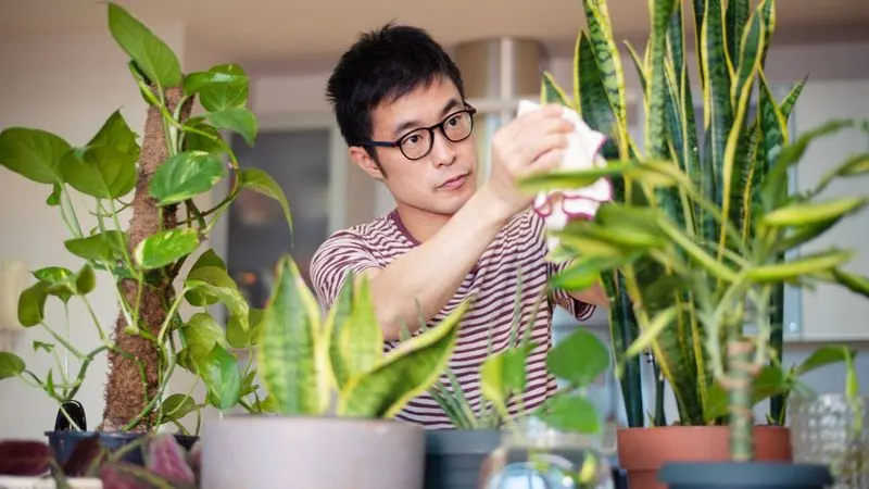 Plant Care Commitment