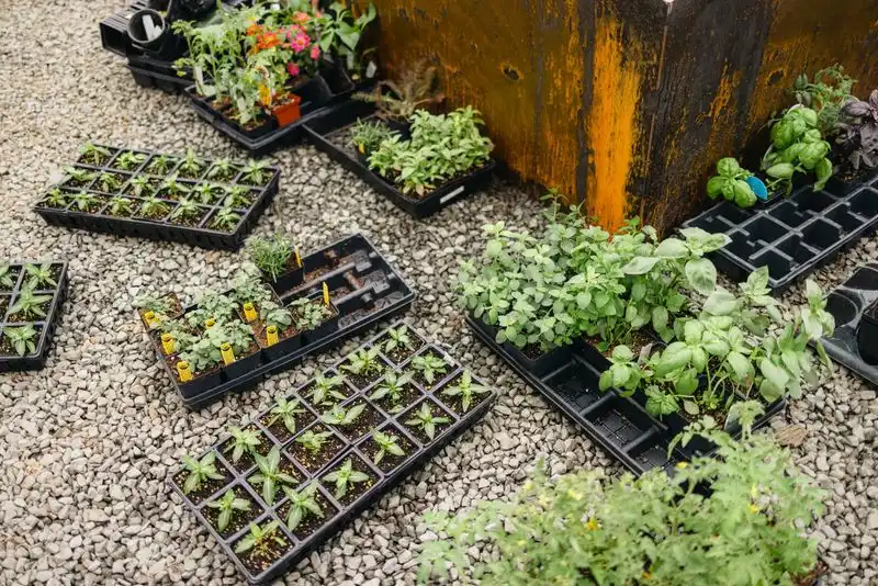 Plant Purpose