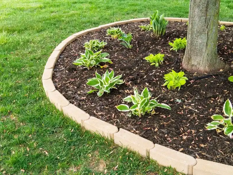 Planting Ground Covers