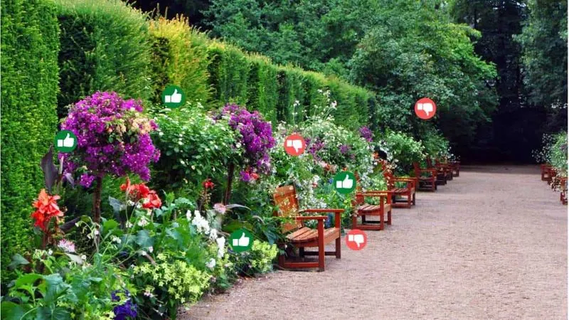 Planting Without Purpose