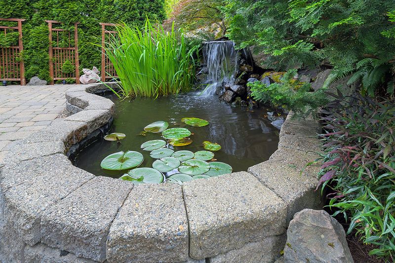 Pond Installation