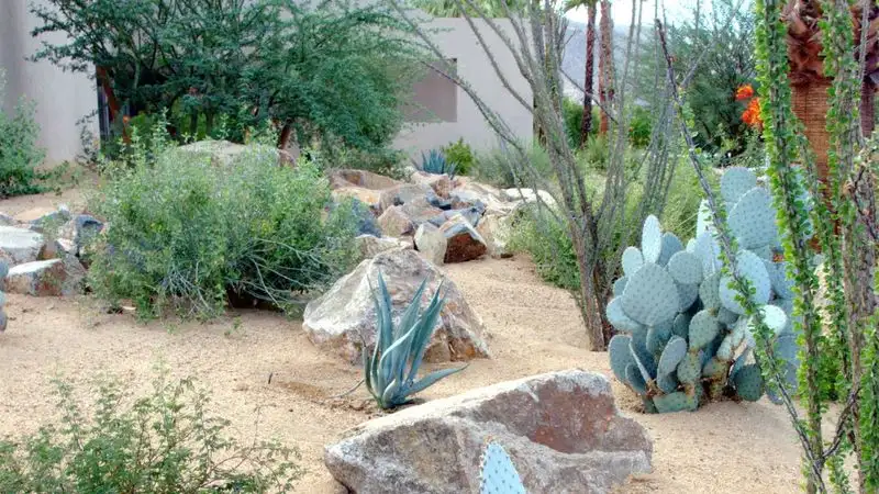 Poor Irrigation Practices
