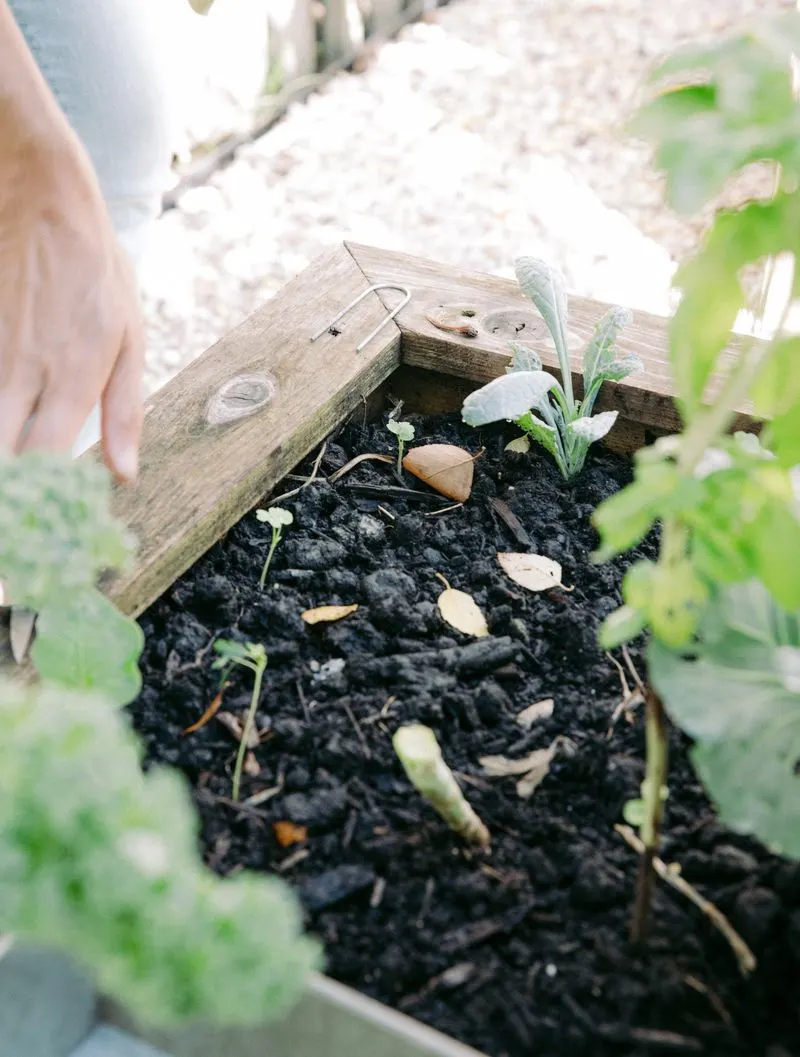 Practice Succession Planting