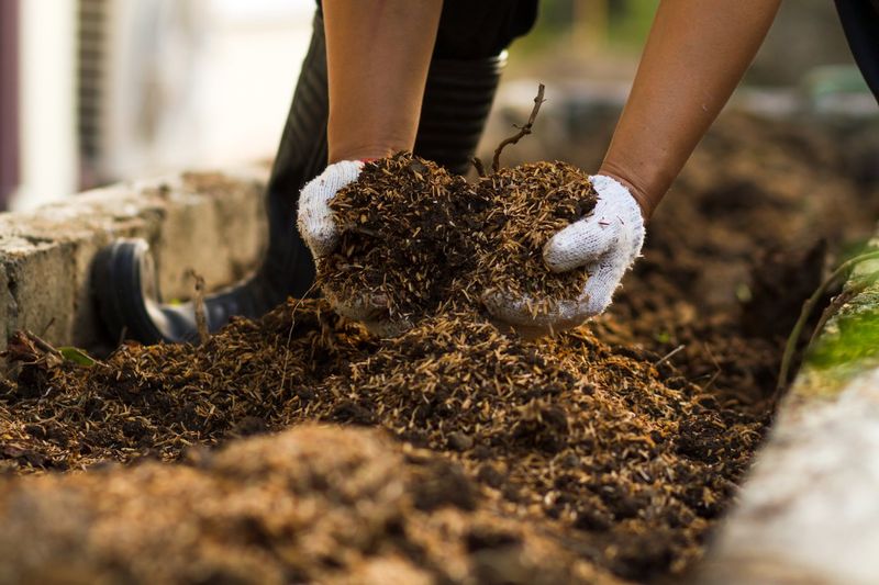 Preparing the Soil