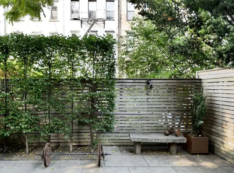 Privacy Screens