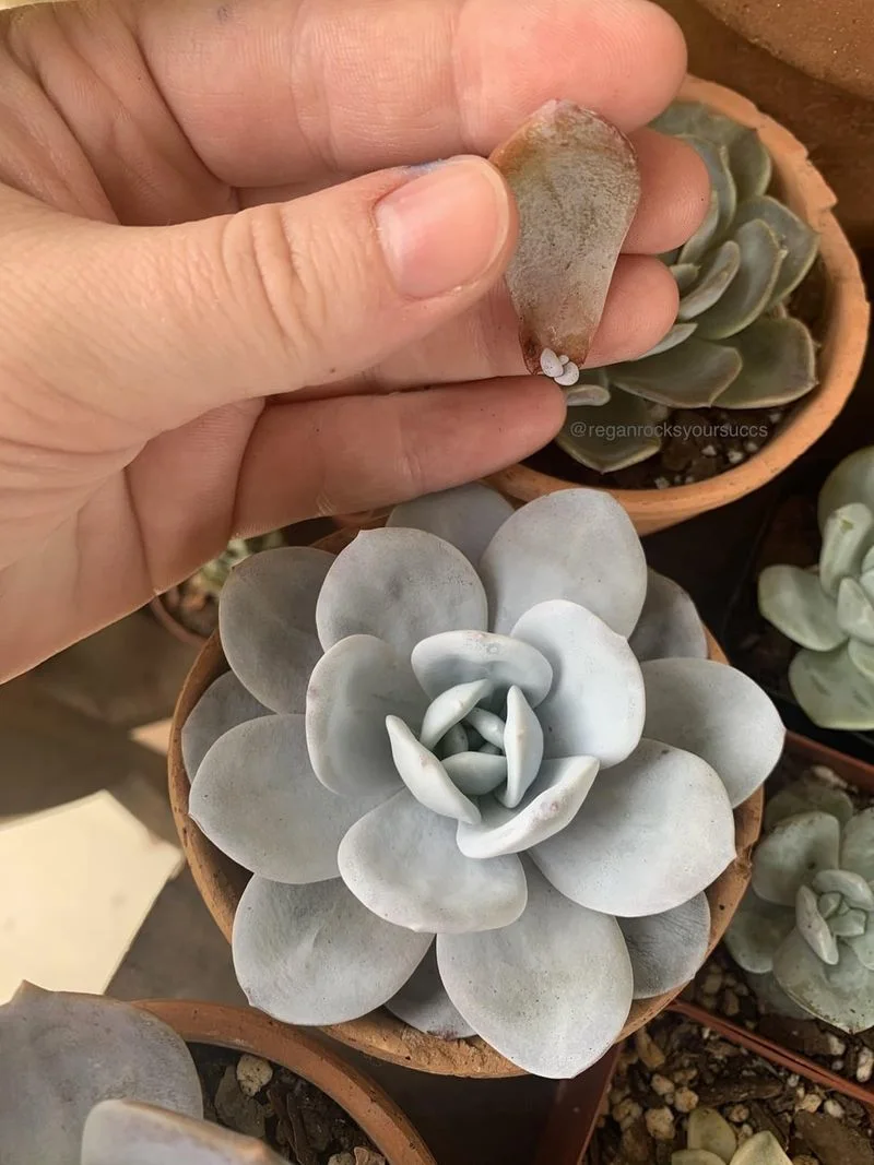 Propagation Techniques