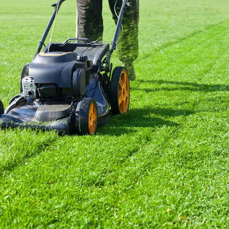 Proper Mowing