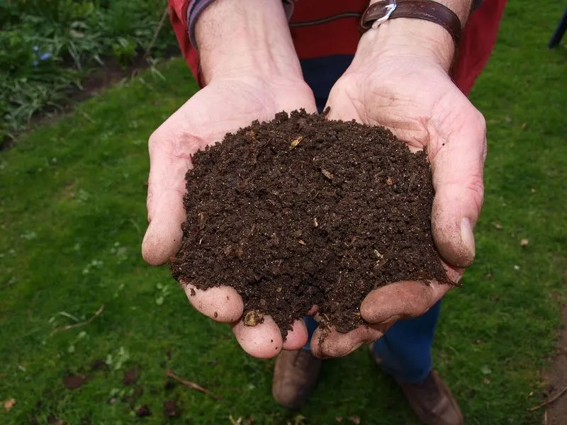 Proper Soil